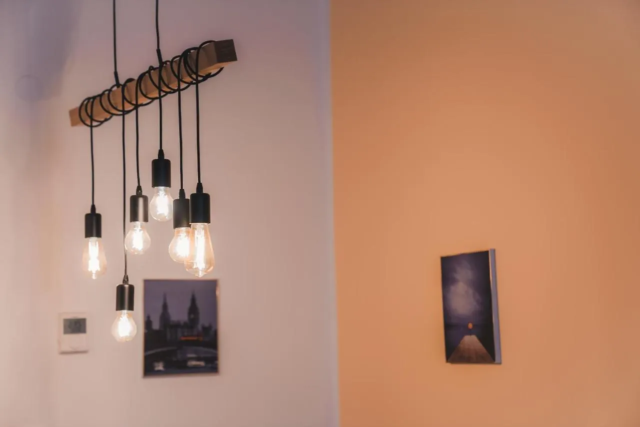 Renovated Apartment Close To First District Vienna