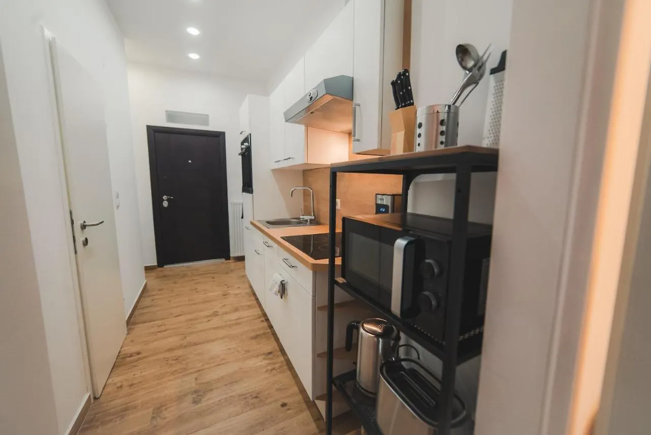 Renovated Apartment Close To First District Vienna