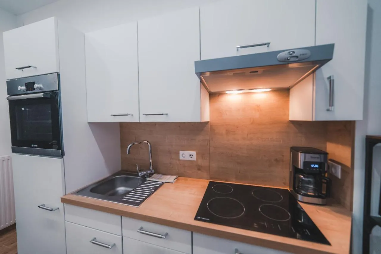 Renovated Apartment Close To First District Vienna 0*,